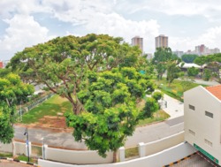 Casafina (D16), Condominium #201725792